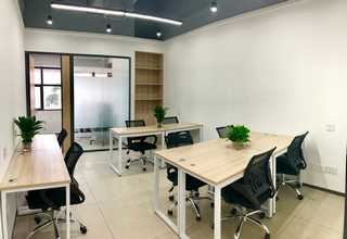 连云港龙眼苗推荐厂家