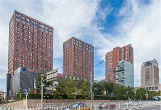 南京环保型染色剂厂家