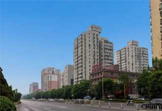 连云港化工铁粉行情